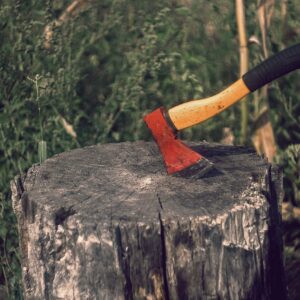 axe, stump, firewood, axe, axe, axe, axe, axe