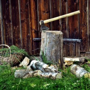 opal, wood, axe, robbery, nature, logs, tree