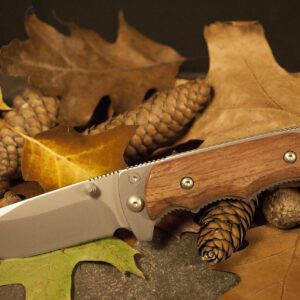 leaves, knife, autumn, nature, hunting, survival