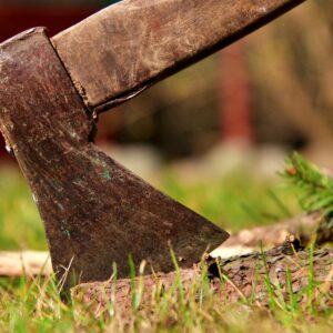 Close-up of a rustic axe embedded in a log surrounded by grass, ideal for outdoor themes.