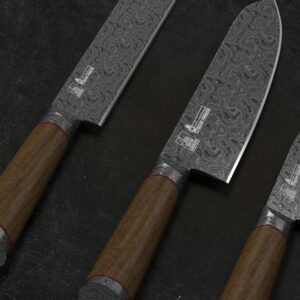 Set of beautifully crafted Damascus steel knives with wooden handles, perfect for professional chefs.
