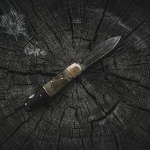 A sharp pocket knife displayed on a rugged, weathered tree stump outdoors.