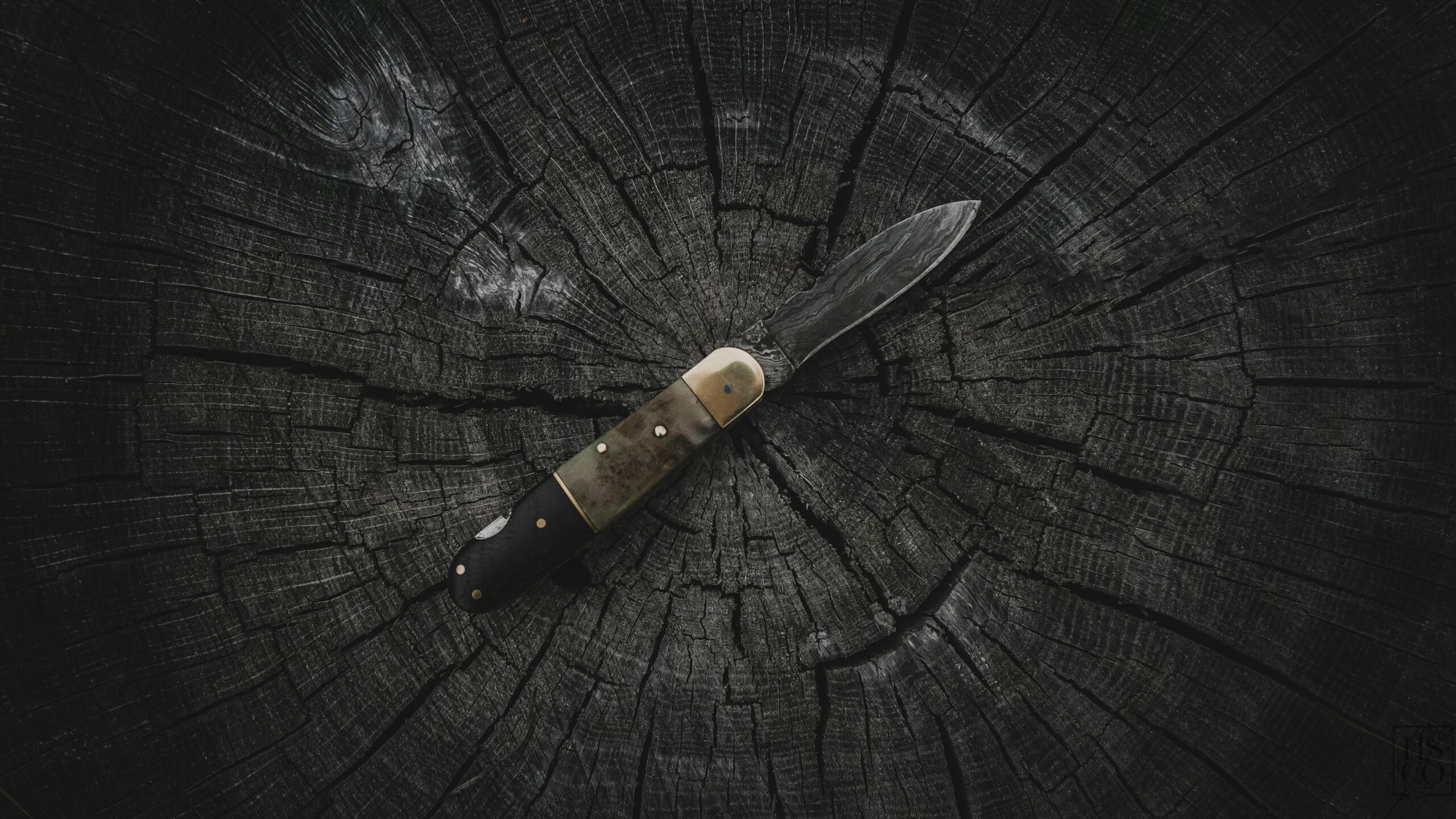 pexels photo 2599276 2599276 A sharp pocket knife displayed on a rugged, weathered tree stump outdoors.