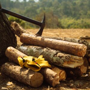Axe lodged in tree stump beside chopped firewood and gloves in a forest setting