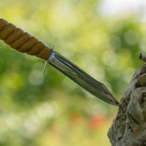 A shiny hunting knife with a wooden handle is embedded in a tree stump outdoors.